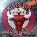 CHICAGO BULLS_NBA