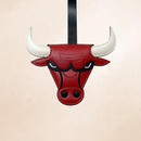CHICAGO BULLS_NBA