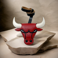 CHICAGO BULLS_NBA