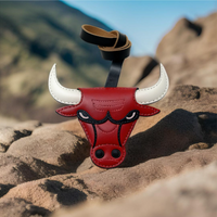 CHICAGO BULLS_NBA