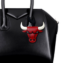 CHICAGO BULLS_NBA