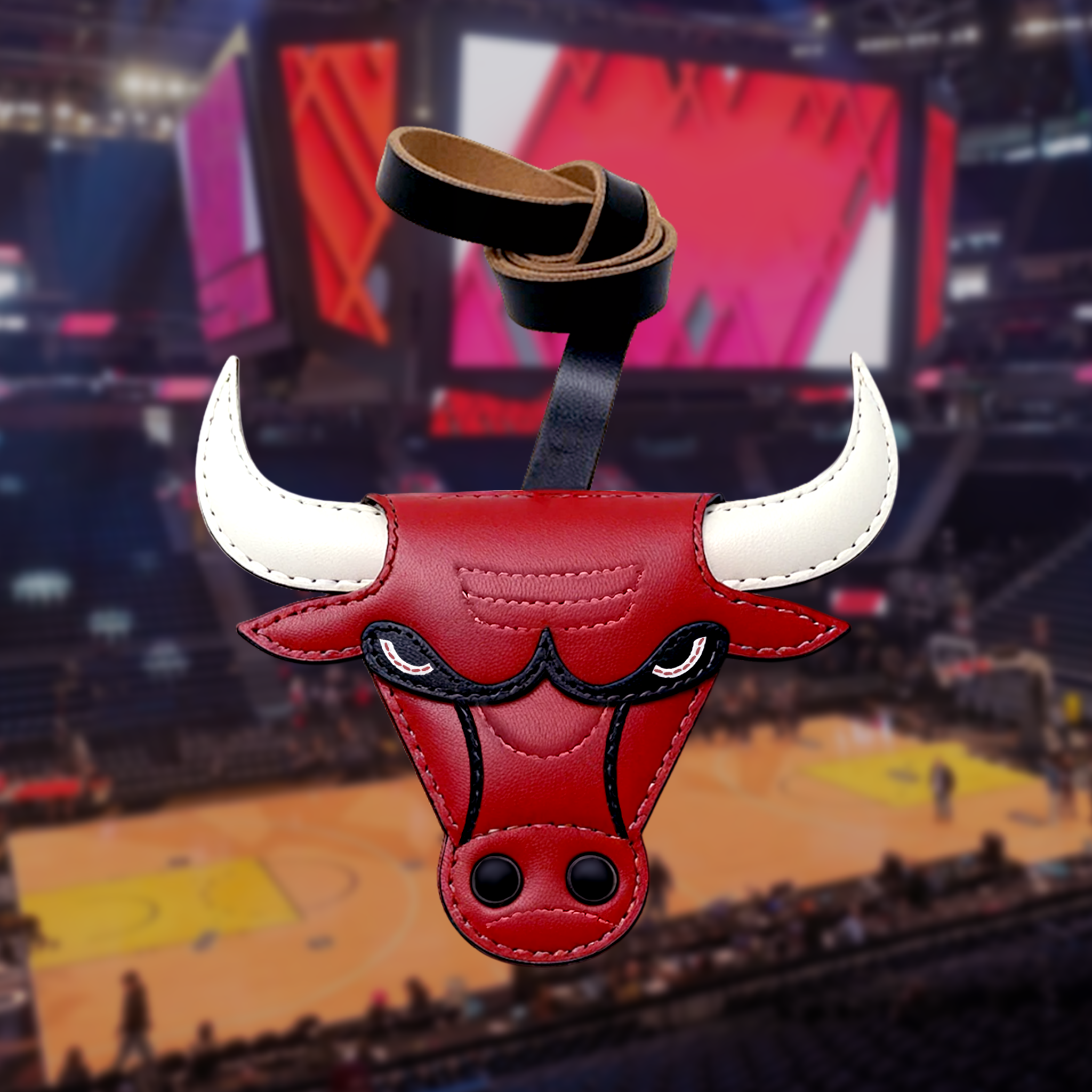 CHICAGO BULLS_NBA