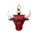CHICAGO BULLS_NBA
