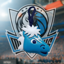 DALLAS MAVERICKS_NBA